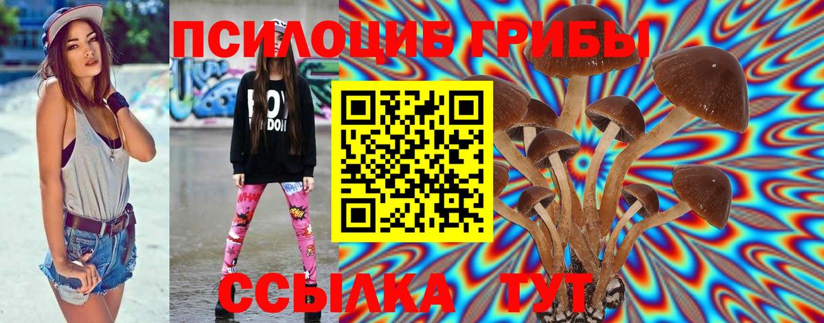 Галлюциногенные грибы Magic Shrooms Губкин