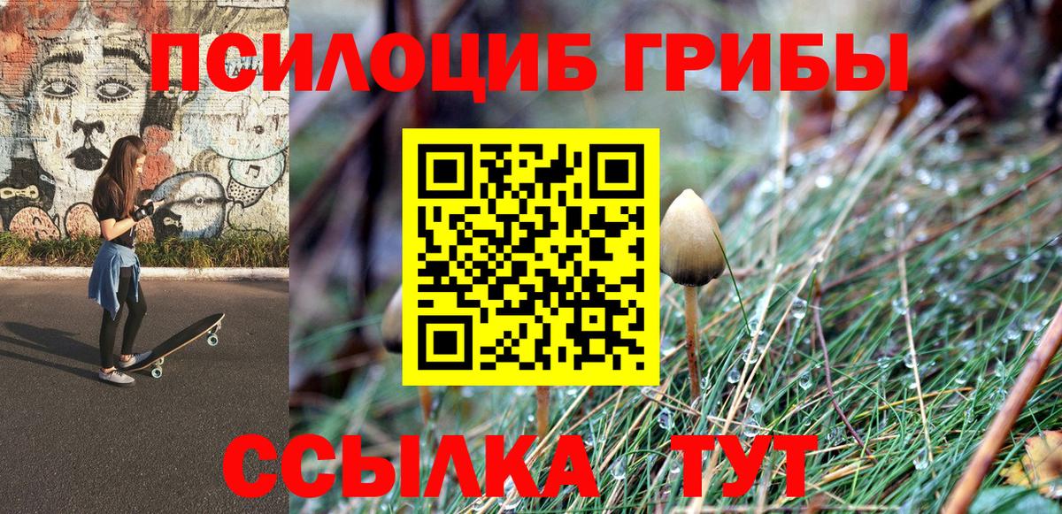 Губкин  Галлюциногенные грибы MAGIC MUSHROOMS  Вход с VPN 